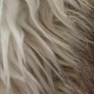 Meet your Posher, Tina